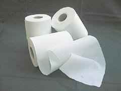 2 Rollen Windelvlies (2×100 Blatt) 16x38cm sauerstoffgebleicht -