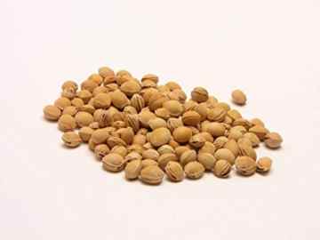 5 KG lose Kirschkerne -