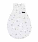 Alvi 734-1 Baby-Mäxchen Außensack Drache bleu