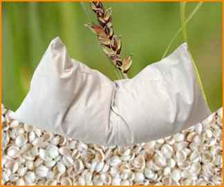 Bio Hirsespreu-Kissen 40 x 60 cm