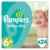 Pampers Baby-Dry Größe 6 plus, 16 plus kg, 24 Stück