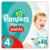 Pampers Baby-Dry Pants, Gr. 4, 8-14 kg, 48 Windeln