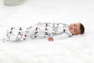 aden + anais 8124G Classic Sleeping Bag Vintage Circus, L -