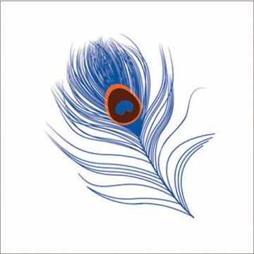 aden + anais 8948G Silky Soft Single Swaddle Mela – Peacock -
