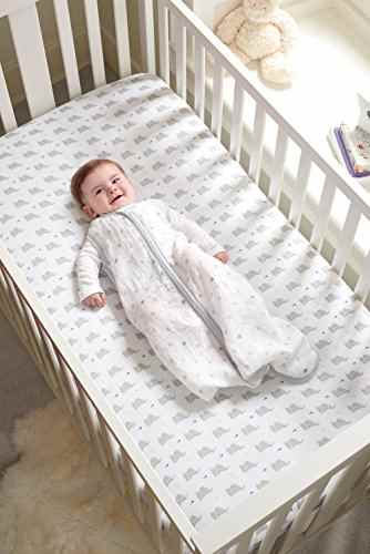 Aden by Aden + Anais 1.0 Tog Sommer-Schlafsack, Motiv: Tauben, 18 + Monate -