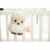 Cloud b Sunshine Owl Natural – Einschlafhilfe Eule – Kuscheltier mit Sound Sunshine Eule -