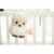 Cloud b Sunshine Owl Natural – Einschlafhilfe Eule – Kuscheltier mit Sound Sunshine Eule -