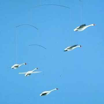 Flensted Mobile Die Schwäne des Nordens -