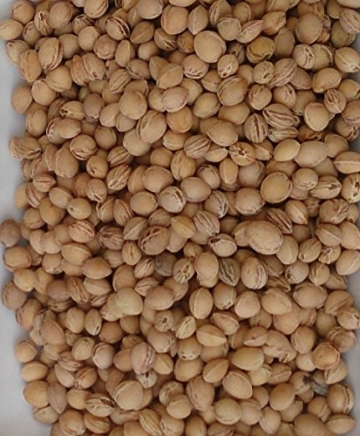 Kirschkerne lose 1 Kg -